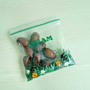 Large Clear Double-Sealed Plastic Zip Lock Reusable Self-Sealing Bag for Food Shipping Compostable PE Printed Product Protection