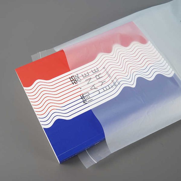 Custom CPE Color Frosted Thickened Zip Lock Universal Packaging Sealing Plastic Bag Recyclable Sub T-shirt Packing Ziplock Bag